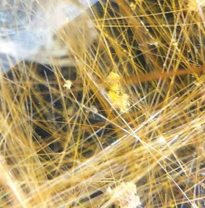 勝つ陰陽師りんかい先生私物 ルチル龍神様お守り拍卖