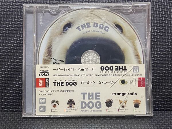 CD DOG ゴールデン・レトリバー DVD拍卖