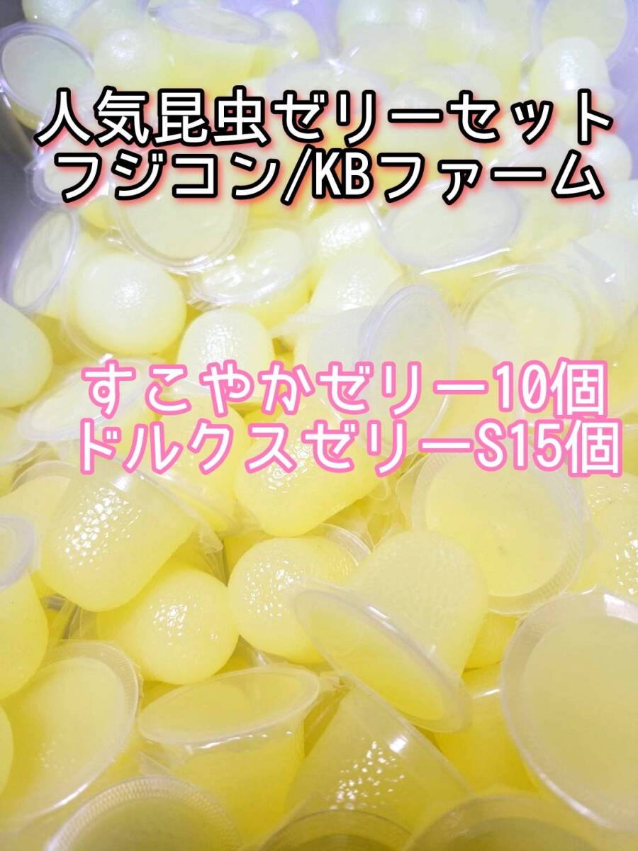 人気昆虫ゼリーセット KBファーム すこやかゼリー フジコン ドルクスゼリー 計25個② カブトムシ クワガタ オオクワ オオクワガタ拍卖