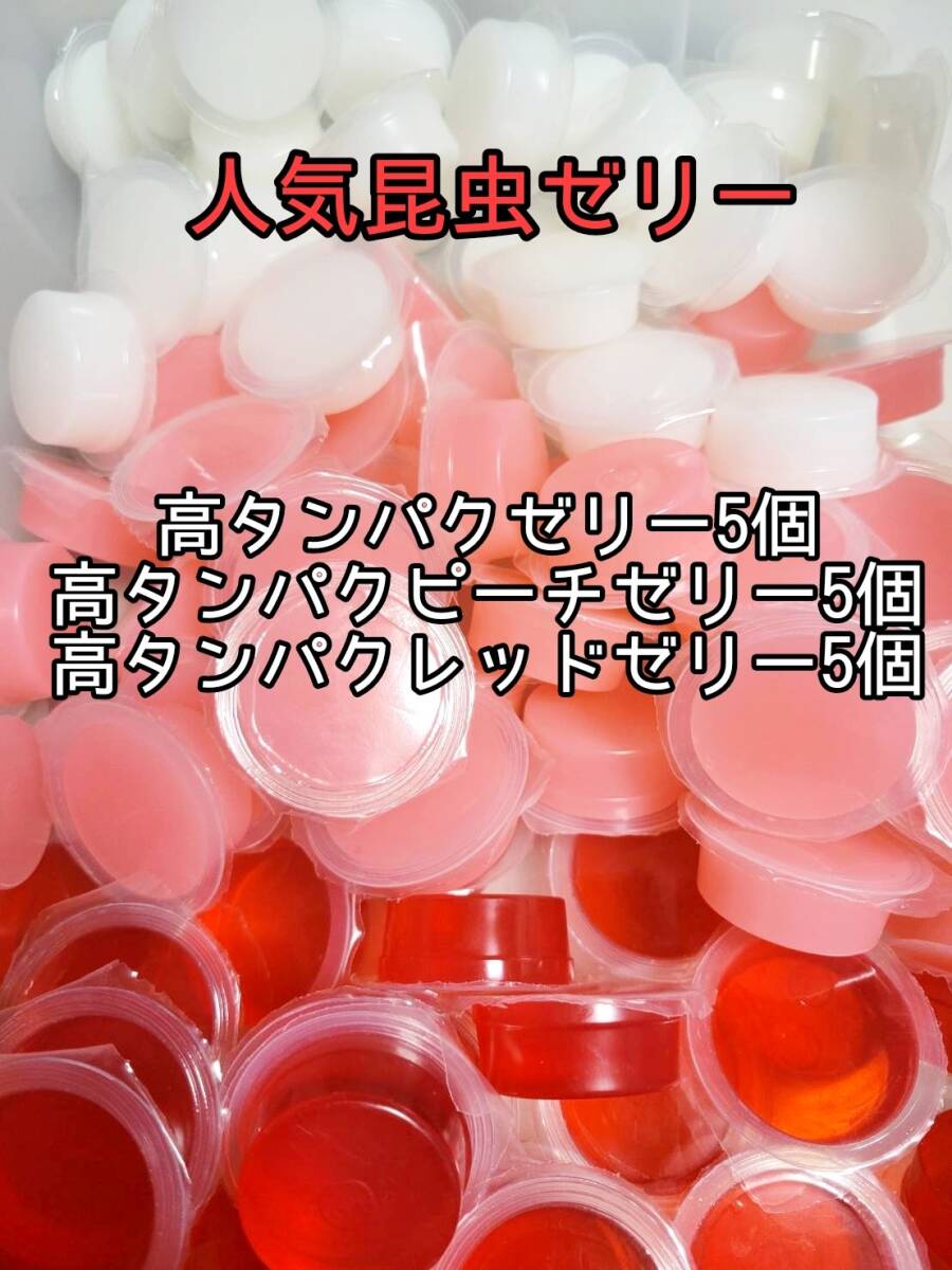 【人気昆虫ゼリー】高タンゼリー ピーチゼリー レッドゼリー各17g計15個 プロゼリー ドルクスゼリー オオクワ モモンガ拍卖