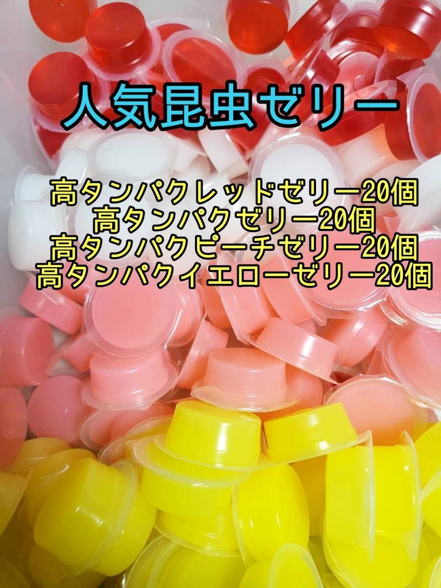 【人気昆虫ゼリー】高タンゼリー ピーチゼリー イエローゼリー レッドゼリー各17g計80個 プロゼリー ドルクスゼリー オオクワ モモンガ拍卖