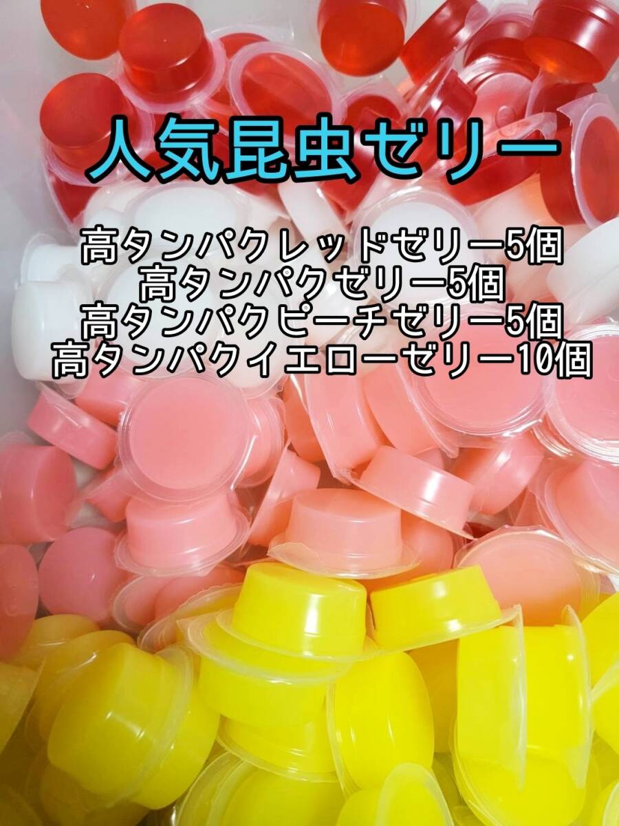 【人気昆虫ゼリー】高タンゼリー ピーチゼリー イエローゼリー レッドゼリー各17g計25個④ プロゼリー ドルクスゼリー オオクワ モモンガ拍卖