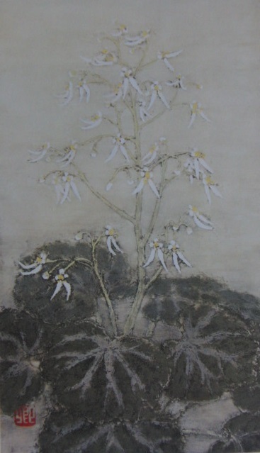 澁澤卿、【虎耳草】、希少な額装用画集より、新品額装付、状態良好、送料込み拍卖