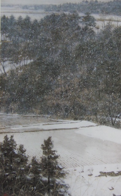 澁澤卿、【冬田飛雪】、希少な額装用画集より、新品額装付、状態良好、送料込み拍卖