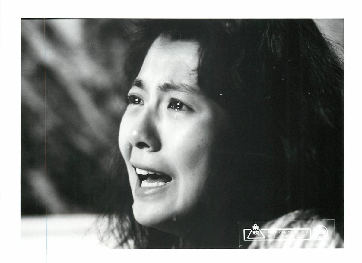 p39867『私を抱いてそしてキスして』スチル 南野陽子 赤井英和 三浦友和 太川陽介 三谷昇 吉行和子 柳沢慎吾 南果歩拍卖