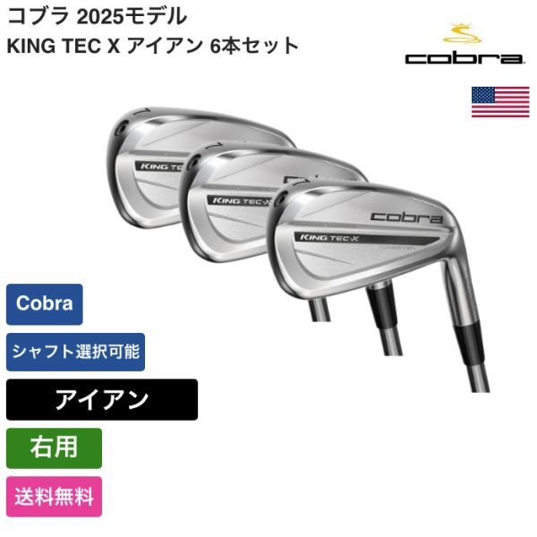 ★新品★送料無料★ コブラ Cobra KING TEC X アイアン 6本セット Cobra 右用拍卖
