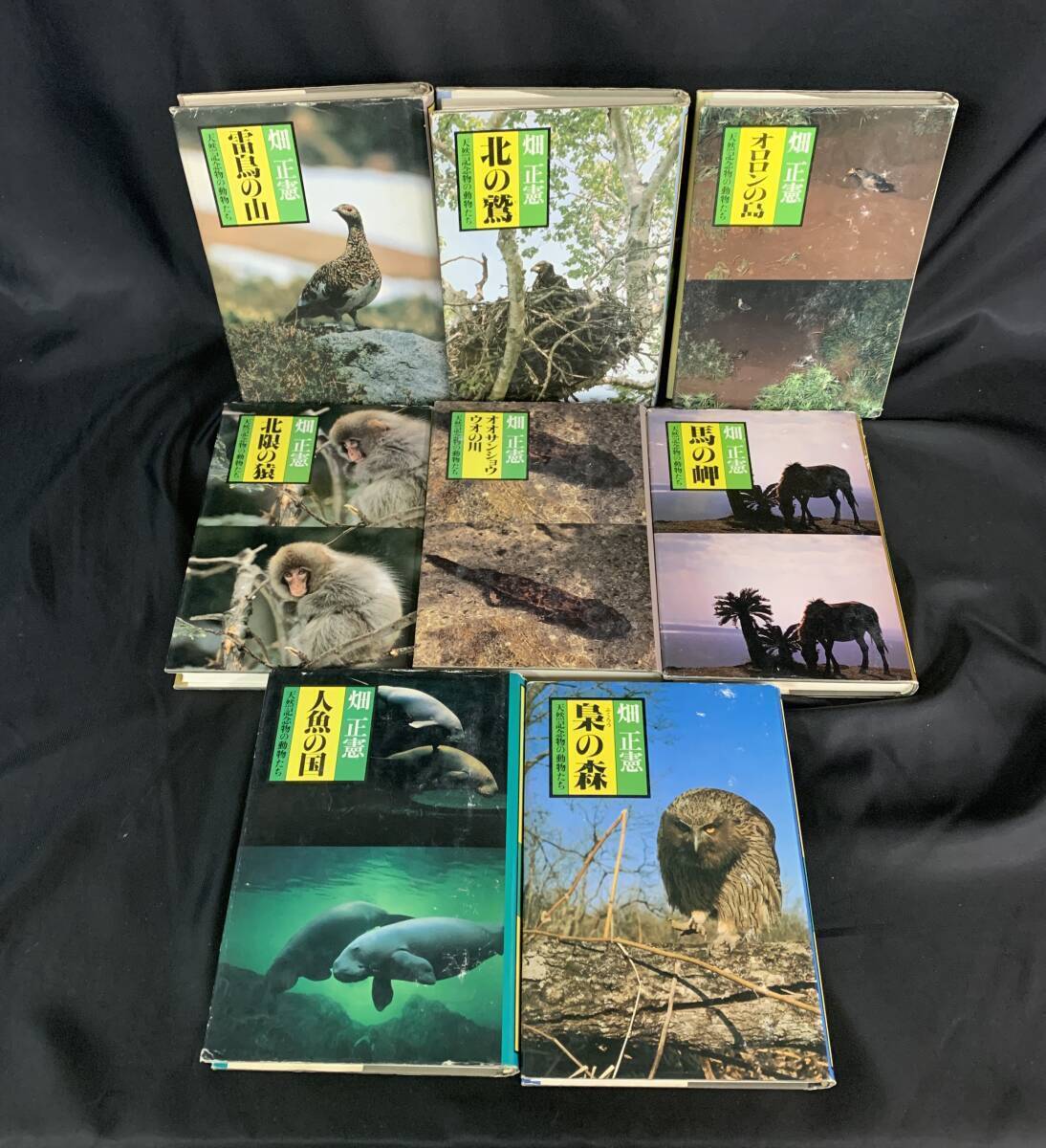 天然記念物の動物たち 8冊セット 畑正憲 ムツゴロウ 角川書店 雷鳥の山 北の鷲 オロロンの島 北限の猿 馬の岬 人魚の国 梟の森他 BK708拍卖