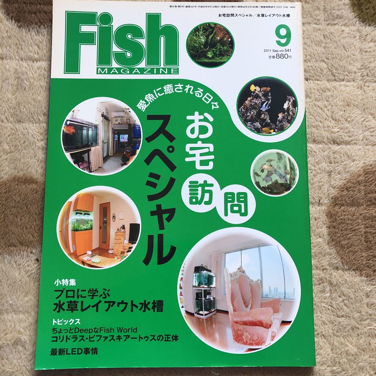 古本/FISH MAGAZINE/541 お宅訪問スペシャル拍卖