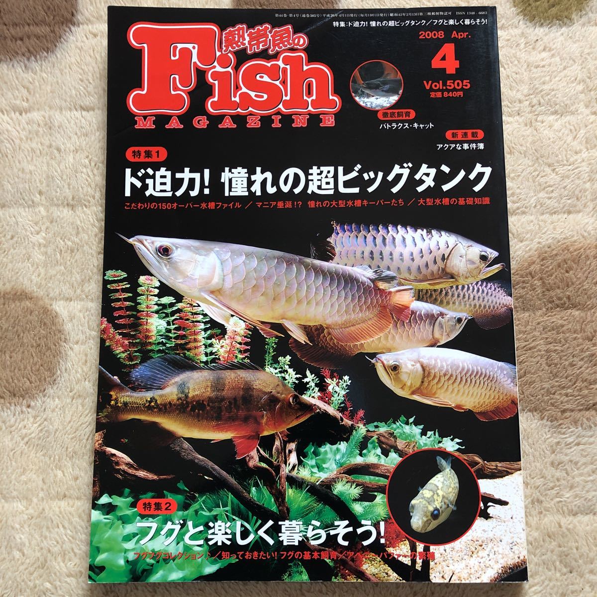 古本/FISH MAGAZINE/505 ど迫力!憧れの超ビッグタンク拍卖