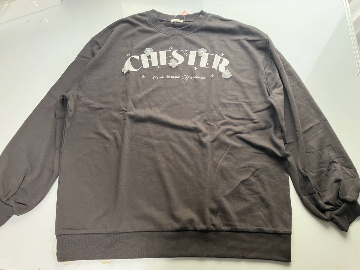 新品■大きいサイズ3L■ロゴ入りミニ裏毛トレーナー■グレージュ拍卖