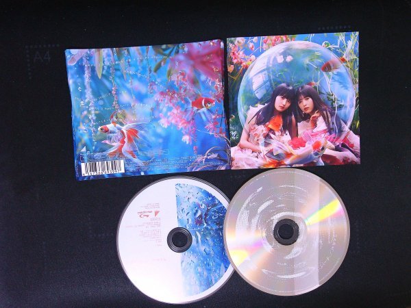 チートデイ Type-C CD Blu-ray ブルーレイ 乃木坂46 即決 送料200円 212拍卖