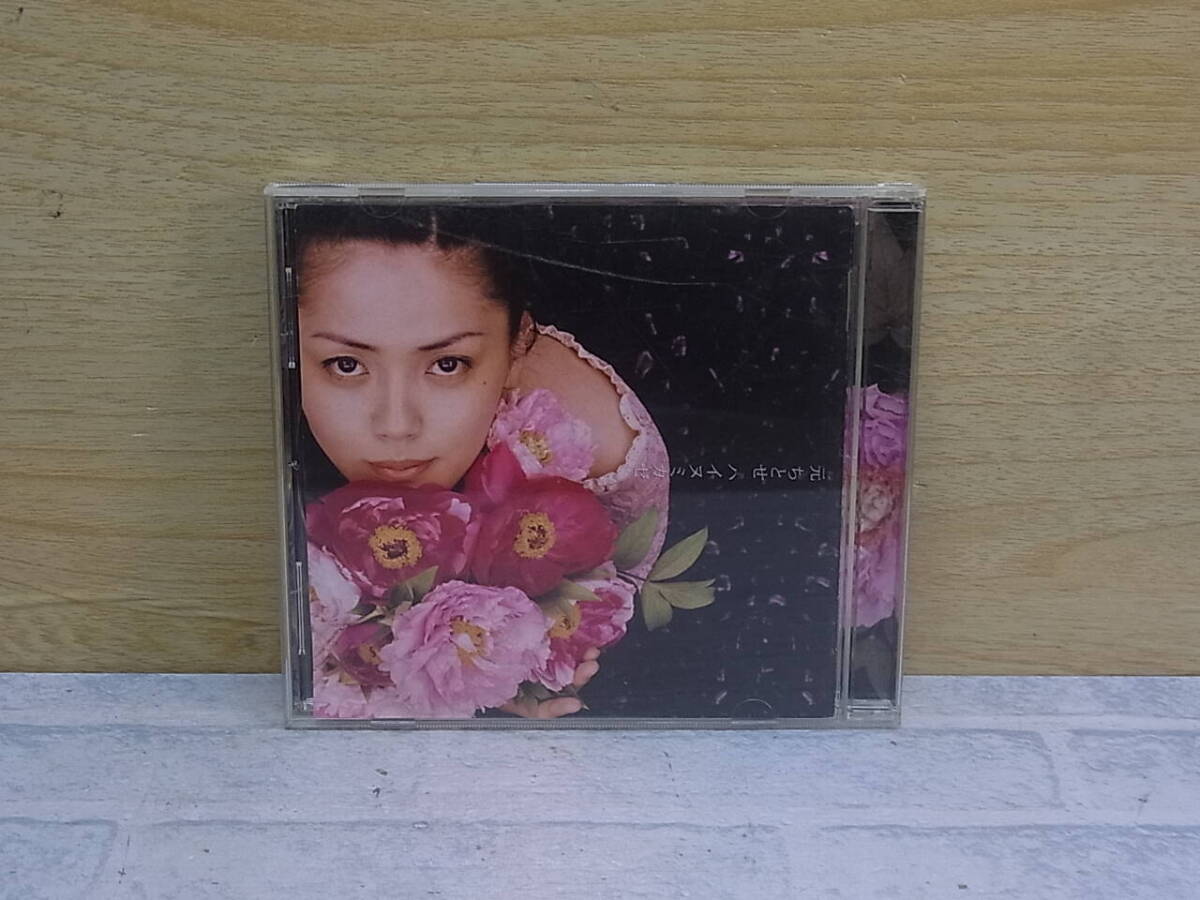 〓AB/587●邦楽CD☆ハイヌミカゼ☆元ちとせ拍卖