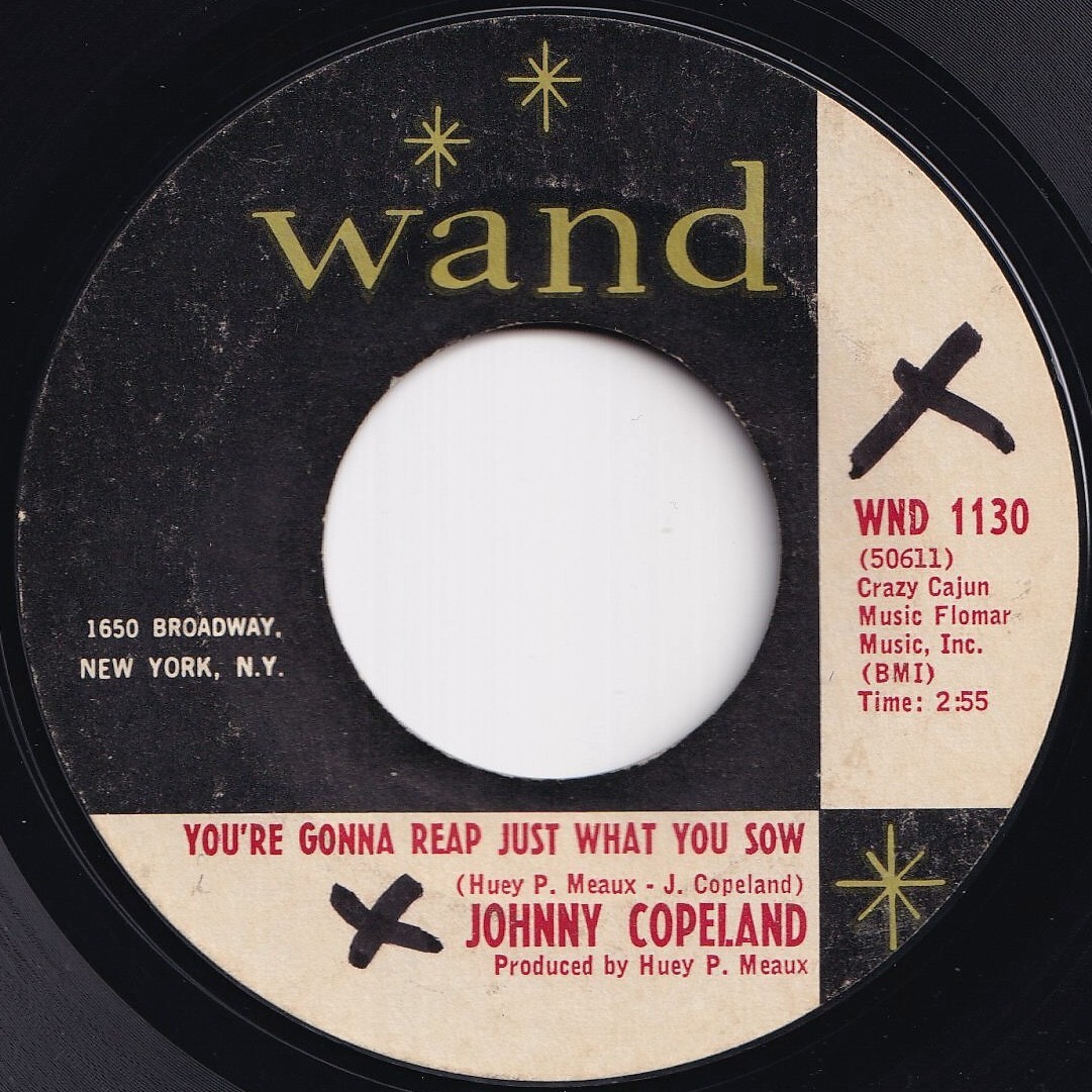 Johnny Copeland You're Gonna Reap Just What You Sow Wand US WND 1130 209766 R&B R&R レコード 7インチ 45拍卖