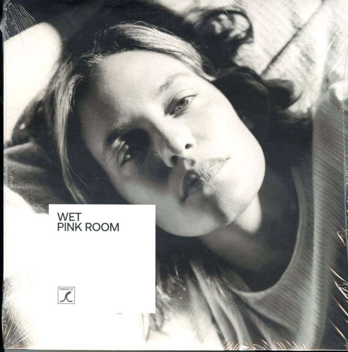 新品!2022年 US12インチEP!ピンク・カラー盤 Wet / Pink Room【Secretly Canadian / SC428】インディー・ポップ ウェット Indie pop拍卖