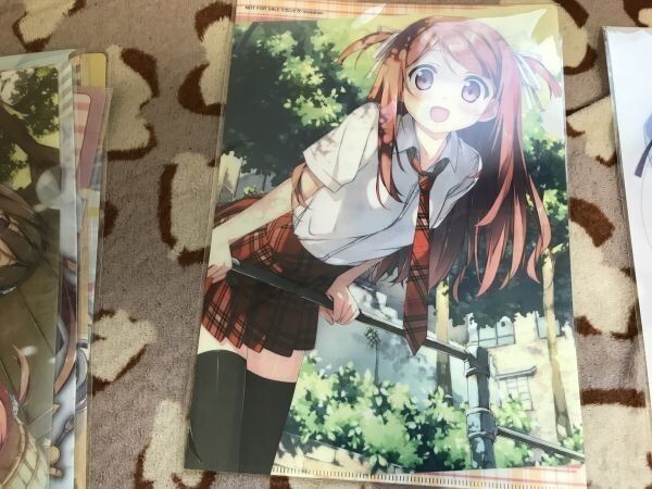 d045クリアファイル カントク) /5年目の放課 軸中心派 アールジュネス(ARTJEUNESS) 版画展特典拍卖