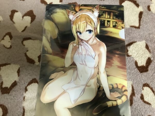 d046クリアファイル むつみまさと とらのあな特典 TORANOANA Girls Collection 2018 WINTER拍卖
