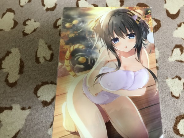 d052クリアファイル 柚子奈ひよ) /しとろんの杜 とらのあな特典 TORANOANA Girls Collection 2018 WINTER トリノライン その日の獣には拍卖