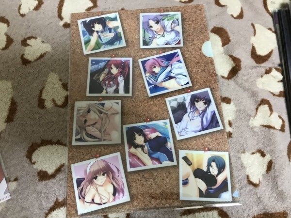 d040クリアファイル LOVELY×CATION2 (hibiki works(暁WORKS 唯々月たすく 特典拍卖