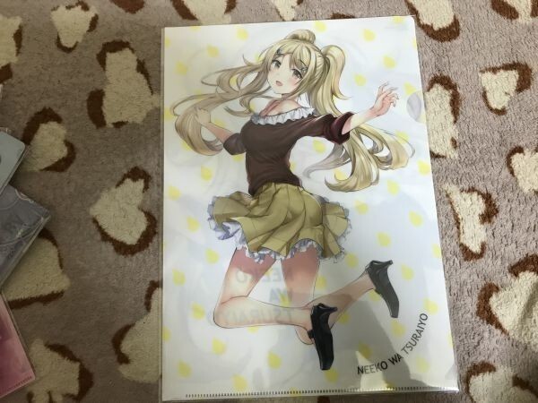 d048クリアファイル ニー子はつらいよ 2巻 メロンブックス特典 アルデヒド拍卖