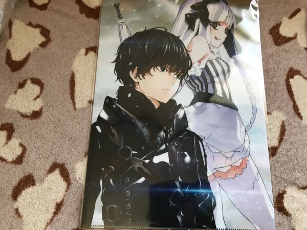 d050クリアファイル FGO Fate/strange Fake とらのあな購入特典拍卖