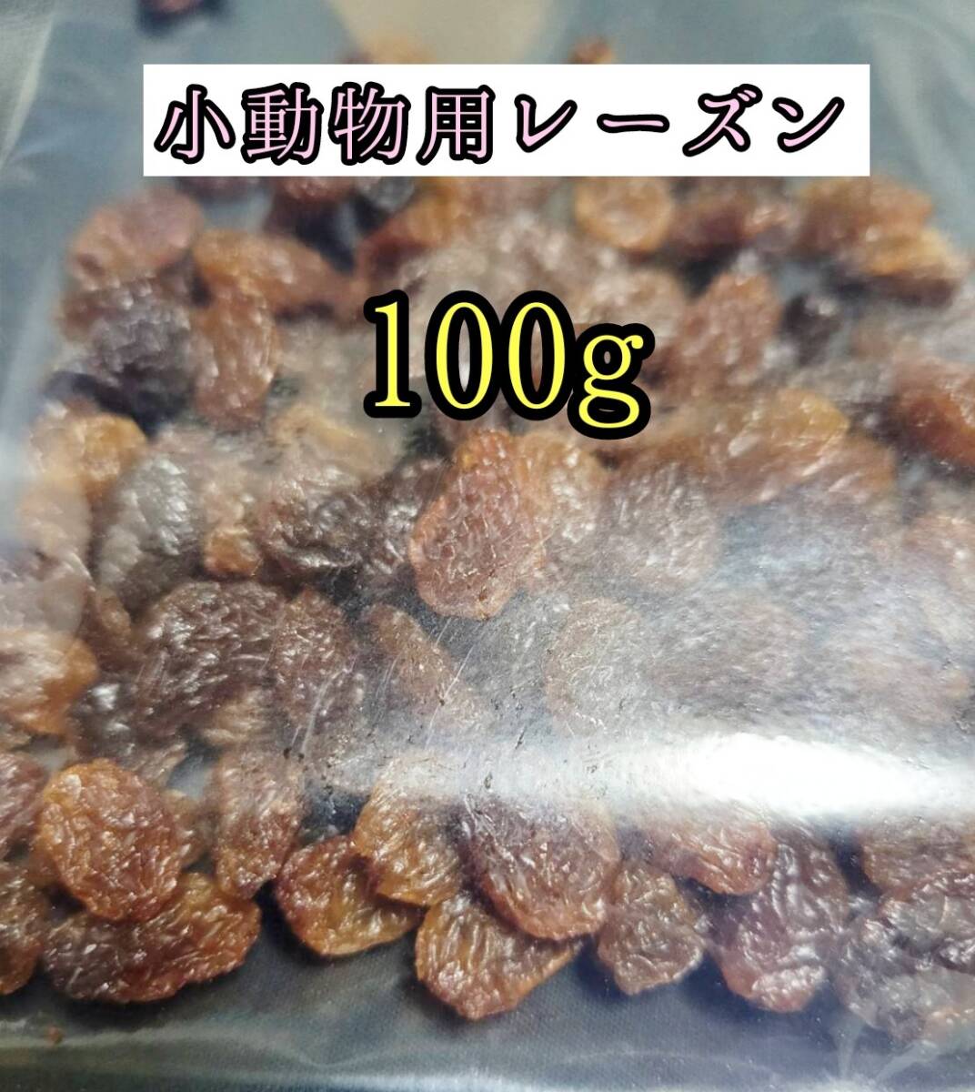 小動物のおやつ ドライレーズン100g レーズン 干し葡萄 ハムスター チンチラ デグー モルモット拍卖