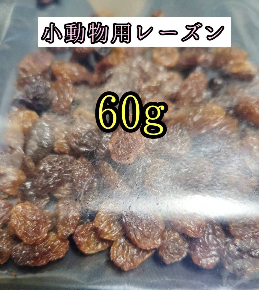 小動物のおやつ ドライレーズン60g レーズン 干し葡萄 ハムスター チンチラ デグー モルモット拍卖