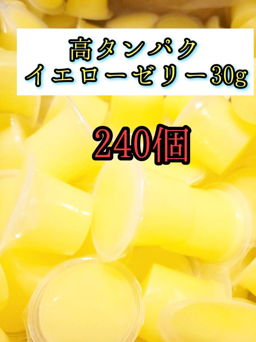 高タンパク イエローゼリー30g 240個 クワガタ カブトムシ オオクワガタ フクロモモンガ ハムスター 小動物 プロゼリードルクスゼリー拍卖