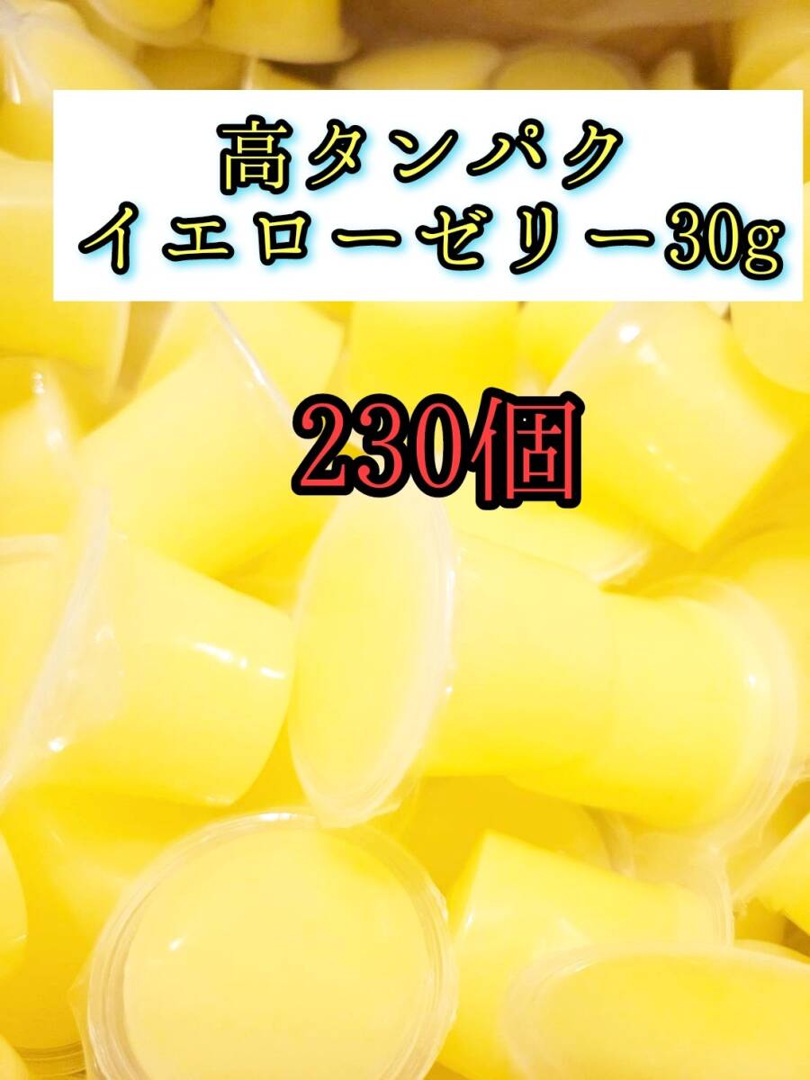 高タンパク イエローゼリー30g 230個 クワガタ カブトムシ オオクワガタ フクロモモンガ ハムスター 小動物 プロゼリードルクスゼリー拍卖