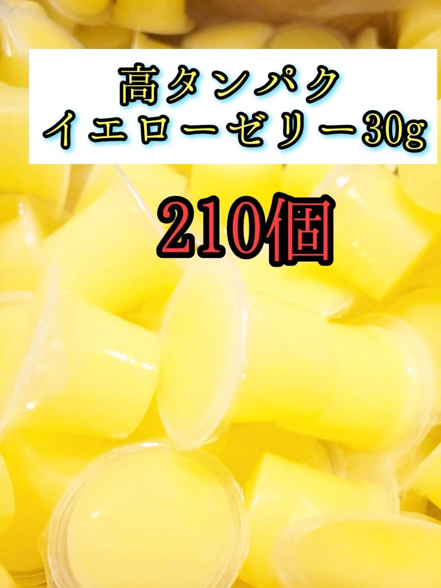 高タンパク イエローゼリー30g 210個 クワガタ カブトムシ オオクワガタ フクロモモンガ ハムスター 小動物 プロゼリードルクスゼリー拍卖