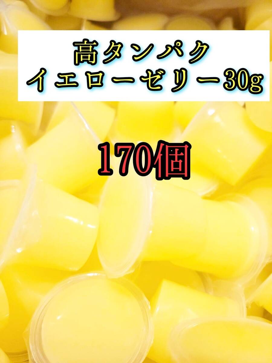 高タンパク イエローゼリー30g 170個 クワガタ カブトムシ オオクワガタ フクロモモンガ ハムスター 小動物 プロゼリードルクスゼリー拍卖