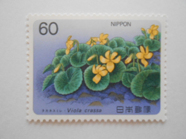 高山植物6集 タカネスミレ 未使用60円切手(6112)拍卖