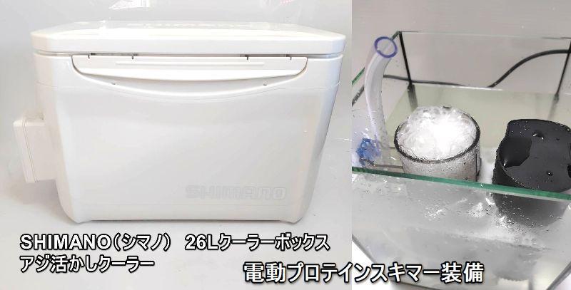 シマノクーラー ベンチュリー式 プロテインスキマー 水中ポンプ付き アジクーラー SHIMANO 26L容量 ヤエン 釣り クーラーボックス拍卖