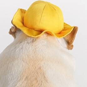 新品 犬用帽子 幼稚園ハットペット用品 入園式撮影拍卖