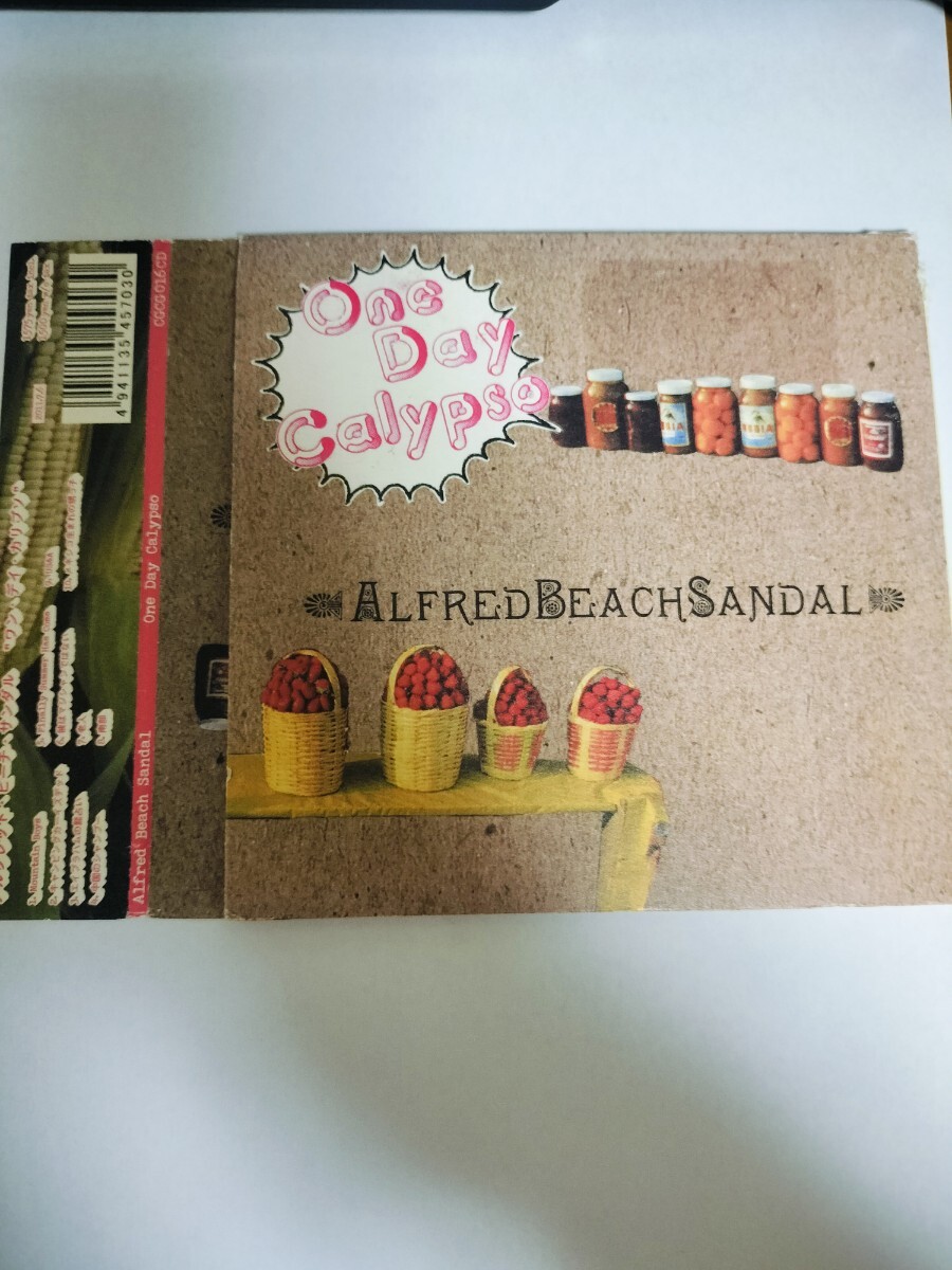 CD Alfred Beach Sandal one day calypso 北里彰久拍卖