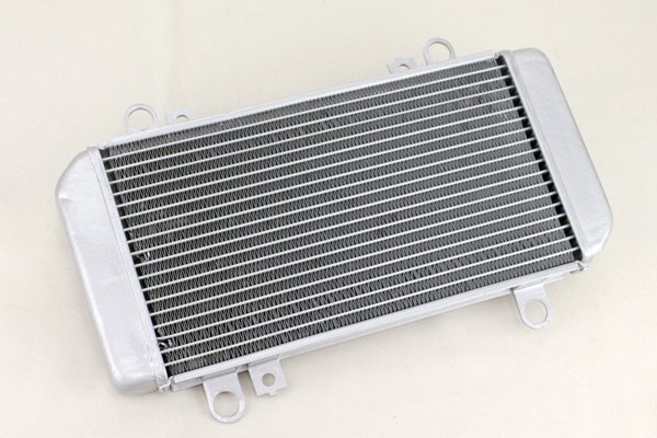 ニンジャ250R 2008-2012年 EX250K ラジエーター ラジエター NINJA250R KAWASAKI カワサキ拍卖