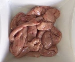 親鶏 串に!!希少な商品 貴重な品!!新鮮!!「北海道産とり卵管2kg」串 焼き鳥 (玉みち) 美味!!10キロ迄送料同額にて同梱も可能!!拍卖