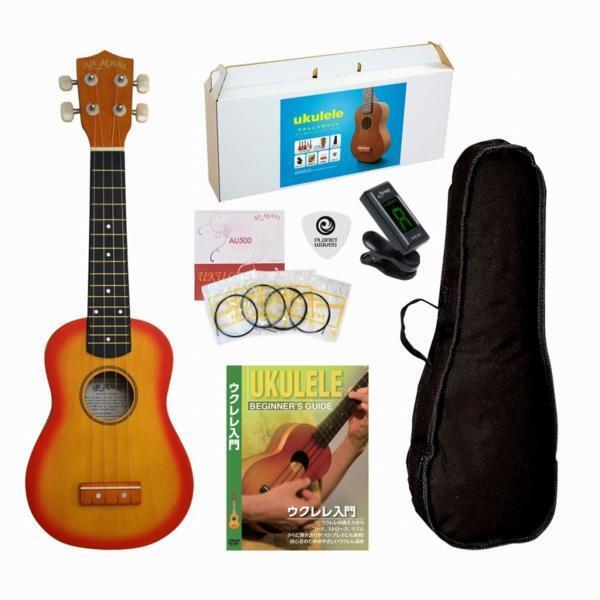 即決◆新品ALAMOANA UK-100G/CS/6点セット(ギヤペグ初心者入門拍卖