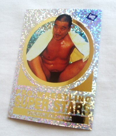 インサート☆藤原嘉明◆BBM1995 SUPER STARS スーパースターズ 藤原組 UWF TM拍卖