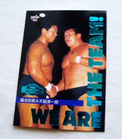 インサート☆藤波辰爾&天龍源一郎◆BBM1996 WE ARE THE TEAM 新日本プロレス 全日本プロレス SWS TM拍卖