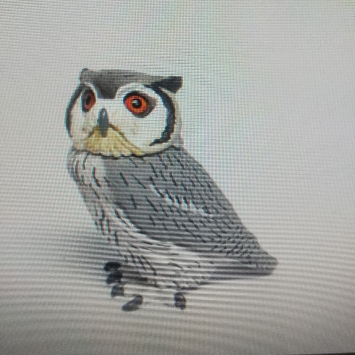 海洋堂☆カプセルQ ☆フクロウ大全☆アフリカオオコノハズク☆本体のみ☆松村しのぶ拍卖