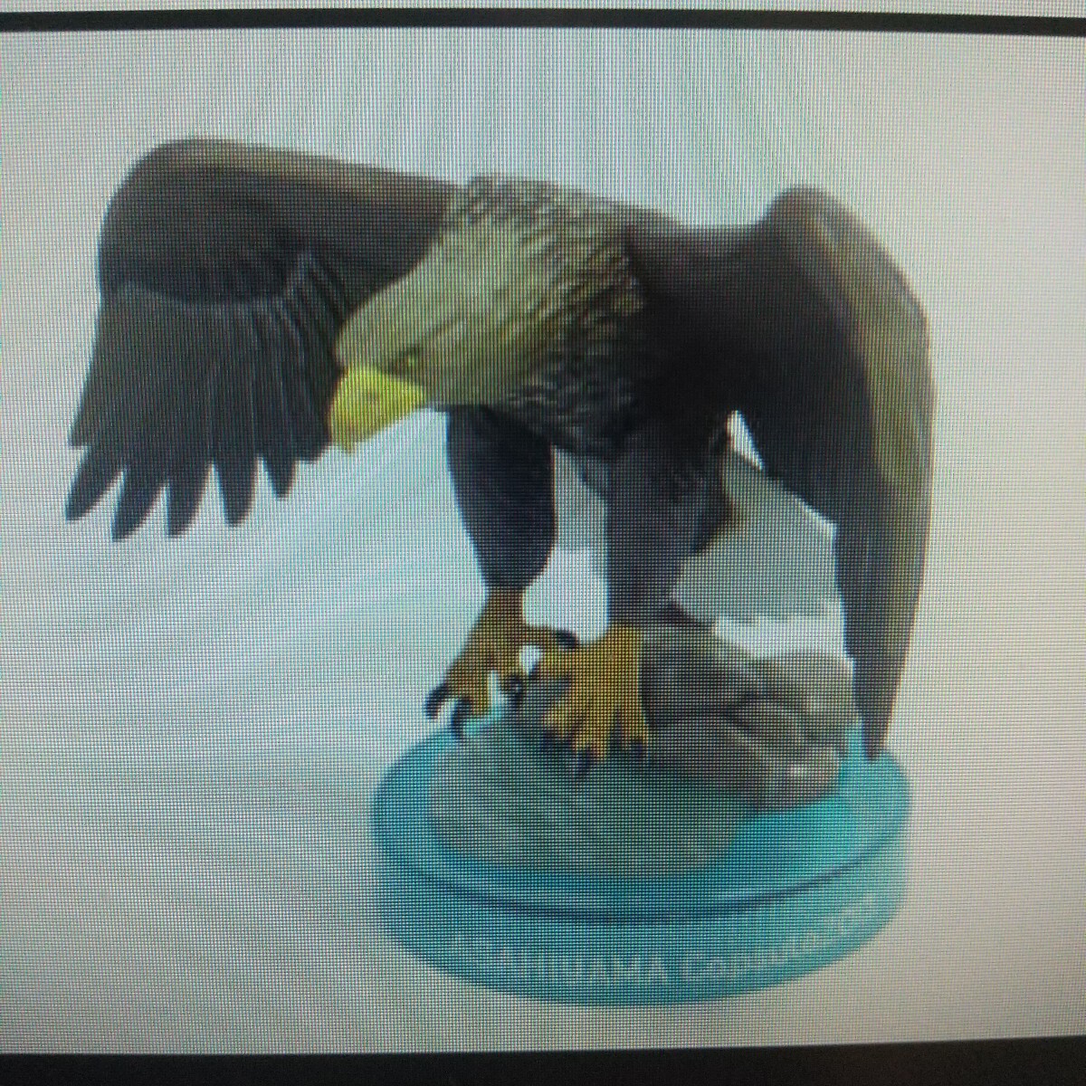 海洋堂☆カプセルズー☆ 旭山動物園☆オジロワシ☆松村しのぶ拍卖