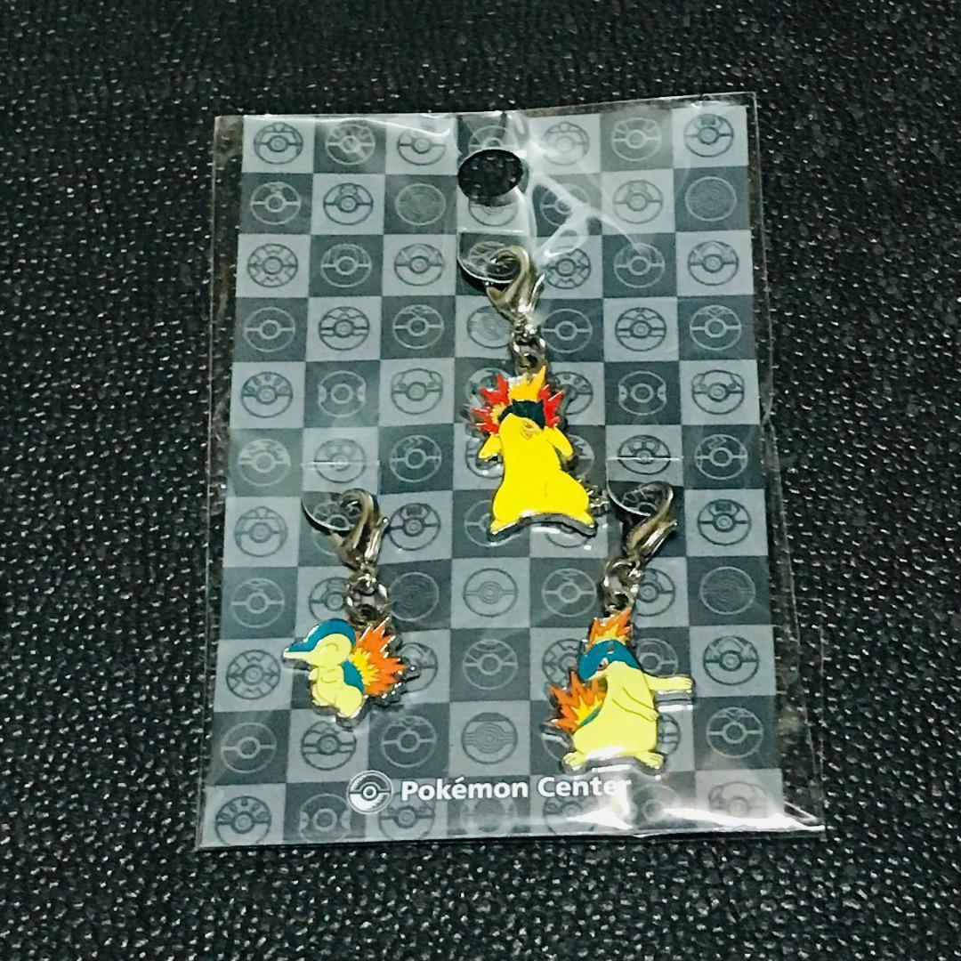 ヒノアラシ マグマラシ バクフーン ポケモンセンター 限定 メタルチャーム マスコット キーホルダー pokemon めじるしアクセサリー拍卖