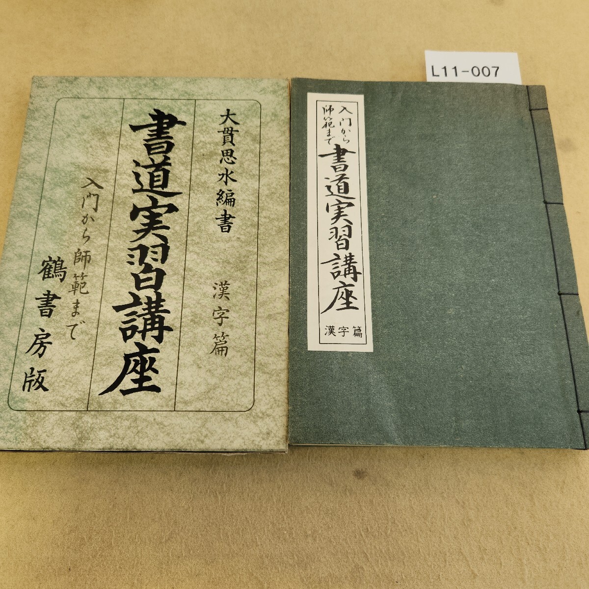 L11-007 入門から師範まで 書道実習講座 漢字篇 大貫思水先生編書 天地小口に汚れ・キズ有 ケース傷・潰れ有 ヤケ有拍卖