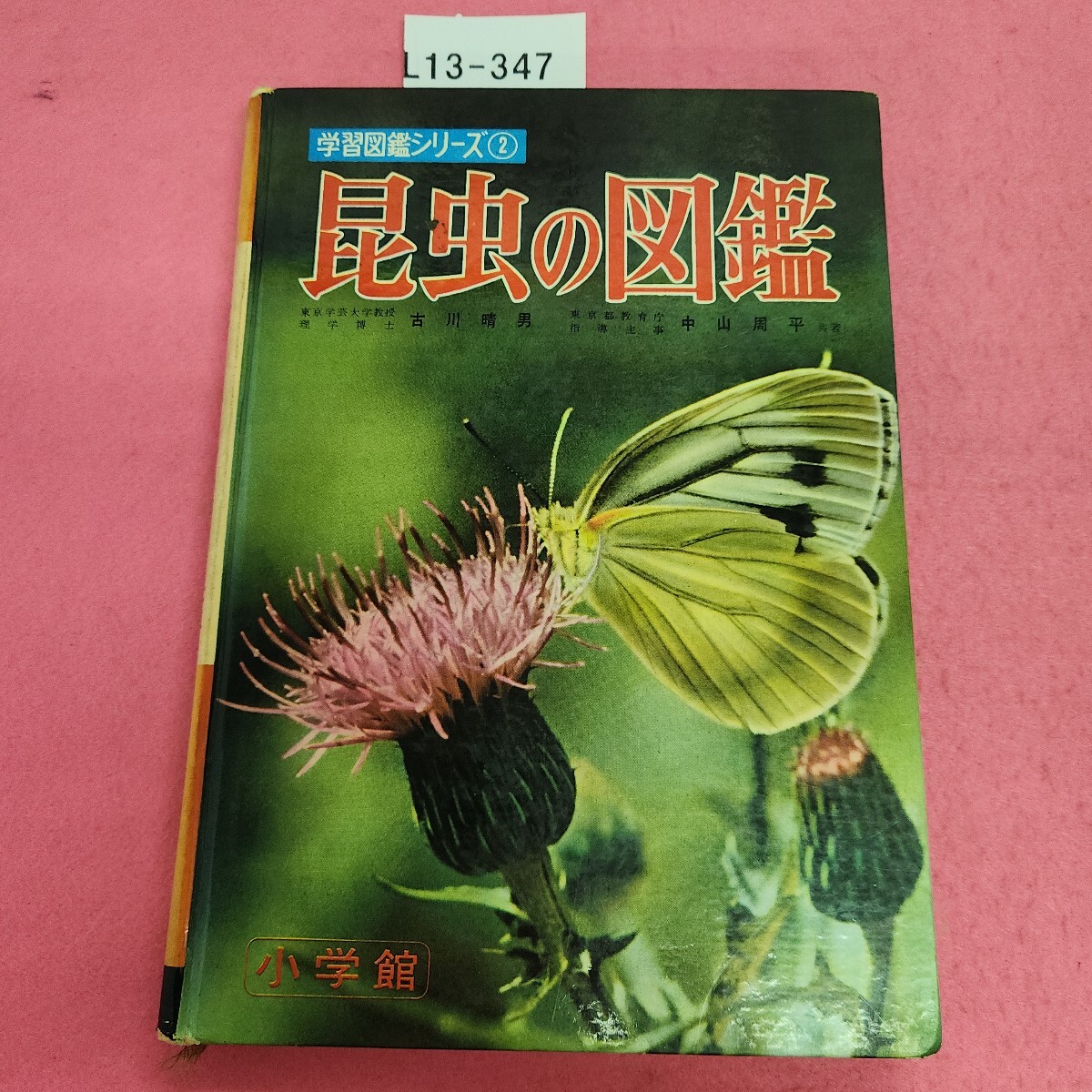 L013-347 小学館の 昆虫の図鑑 学習図鑑シリーズ 2拍卖