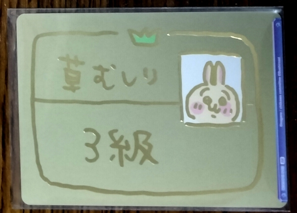 WSB 草むしり検定 3級 CIKW/01B-018B BR拍卖