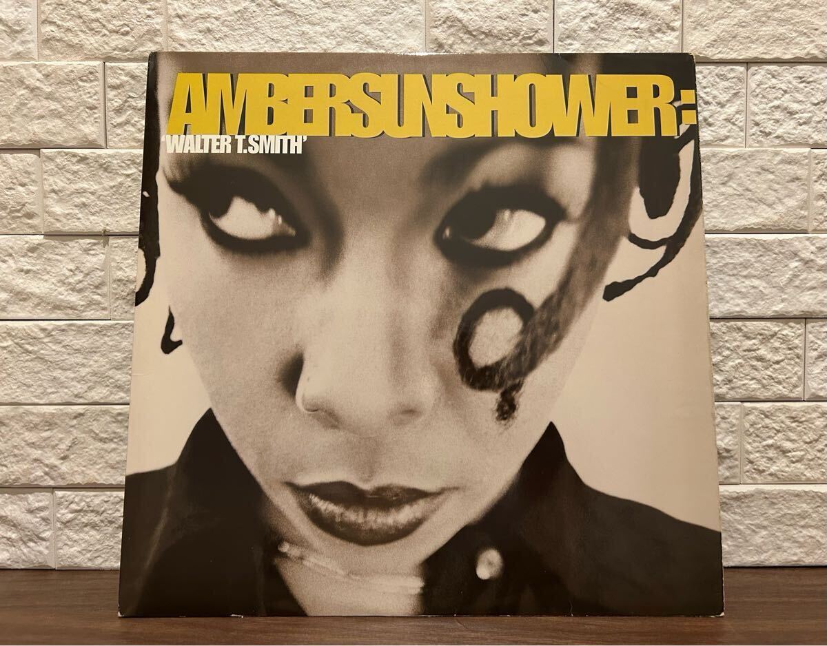 希少【Acid Jazz Hip Hop R&B】Ambersunshower / Walter T. Smith LP レコード 中古品拍卖
