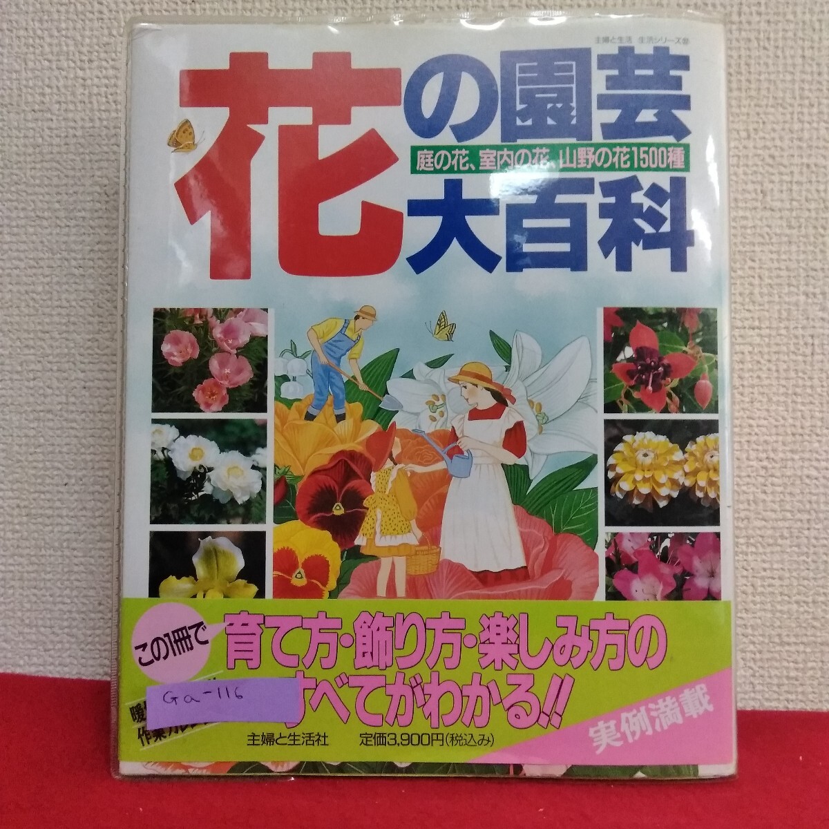 Ga-116/花の園芸大百科 庭の花 室内の花 山野の花1500種 平成7年4月1日発行 主婦と生活社/L10/70306拍卖