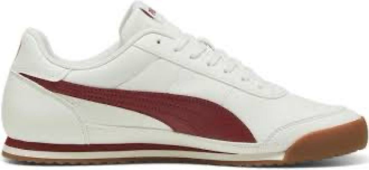 プーマ PUMA チュリーノ 2 マルチスポーツ シューズ 39745206拍卖