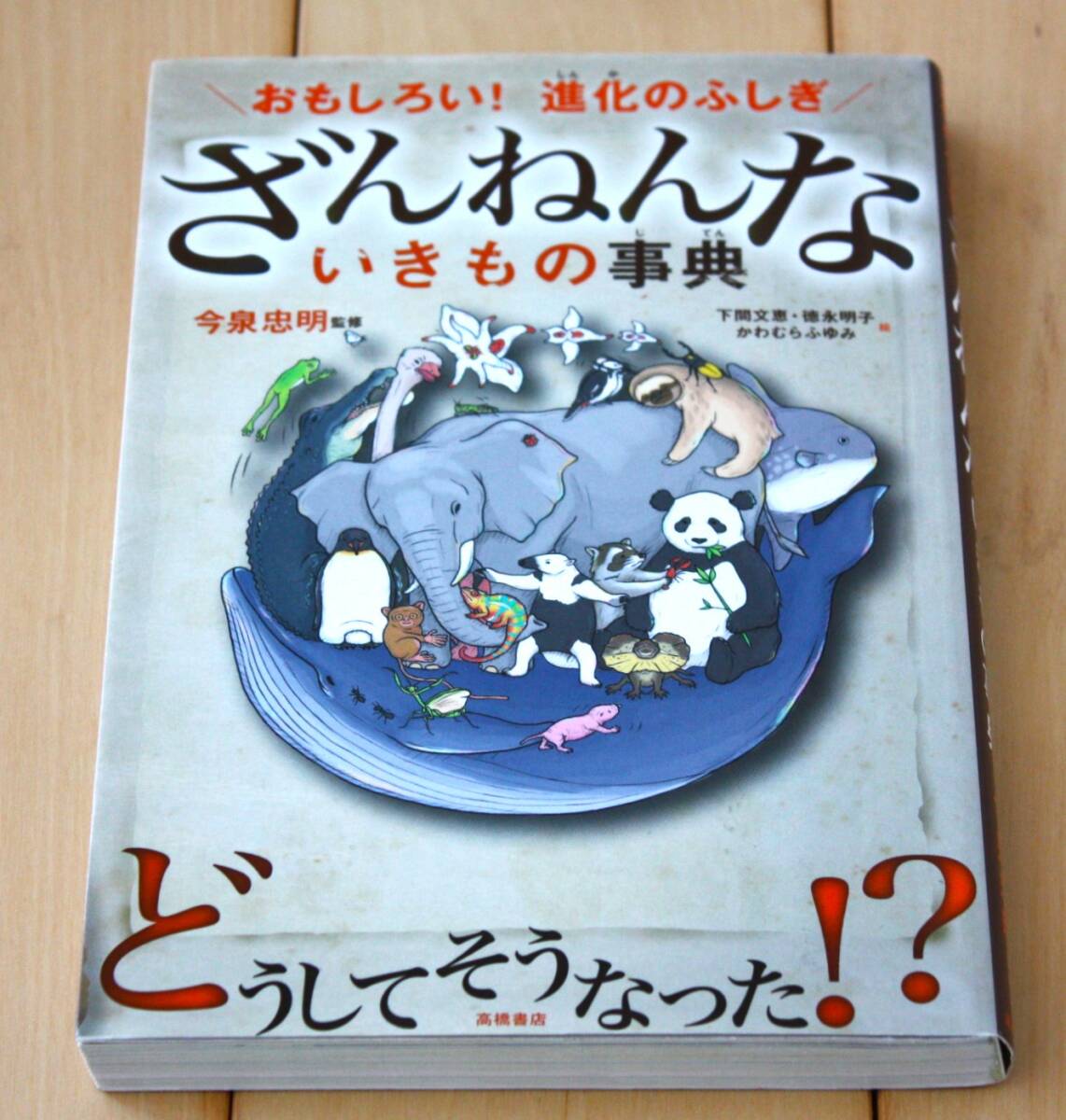 ざんねんないきもの事典 おもしろい!進化のふしぎ 今泉忠明/監修 下間文恵/絵 徳永明子/絵 かわむらふゆみ/絵拍卖