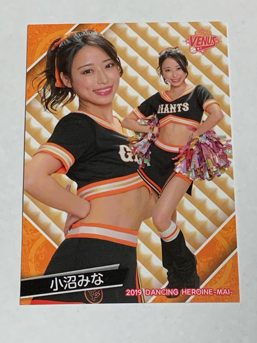 小沼みな 2019 BBM チアリーダー 舞 #64 巨人 TEAM VENUS 即決拍卖